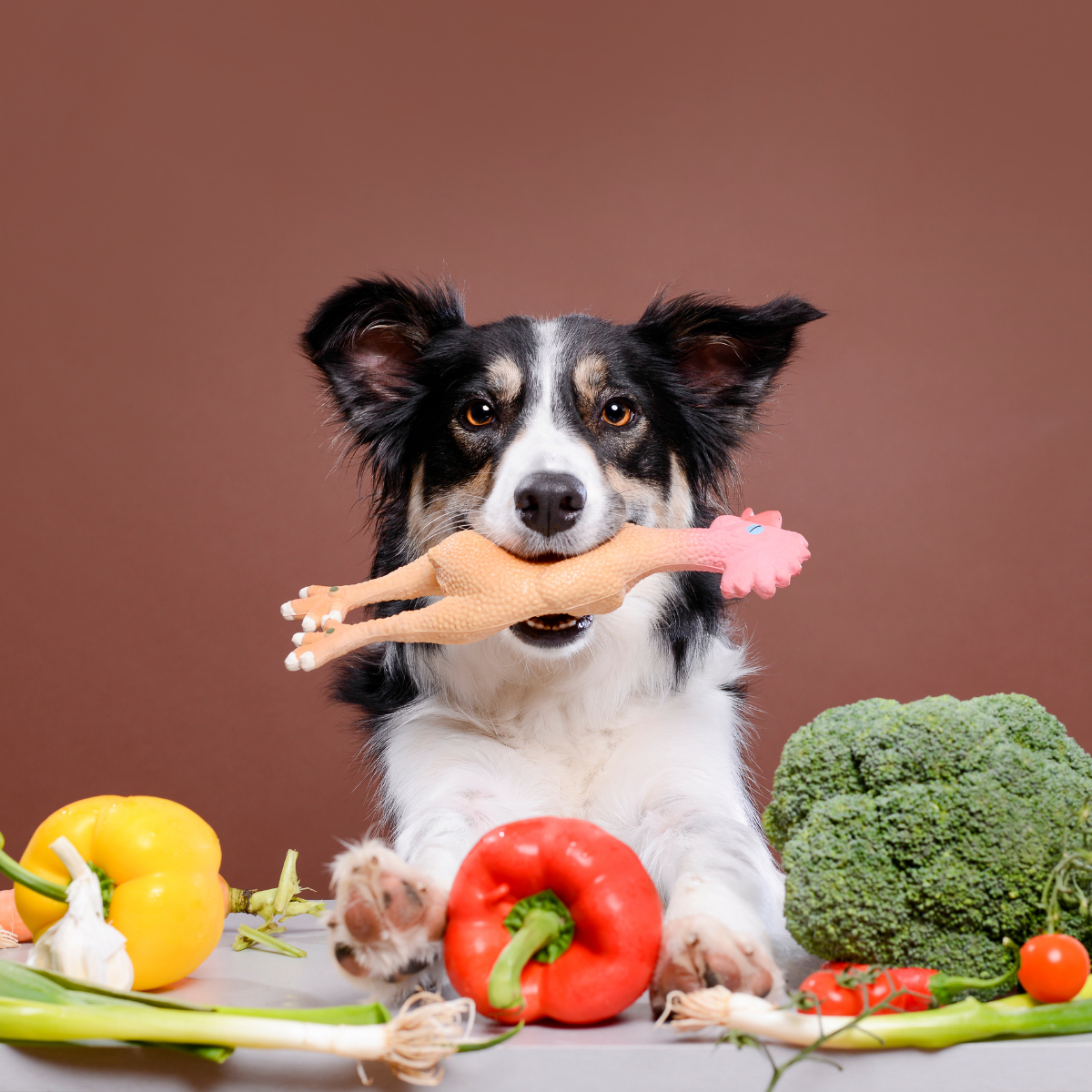 Grain Free per Cani