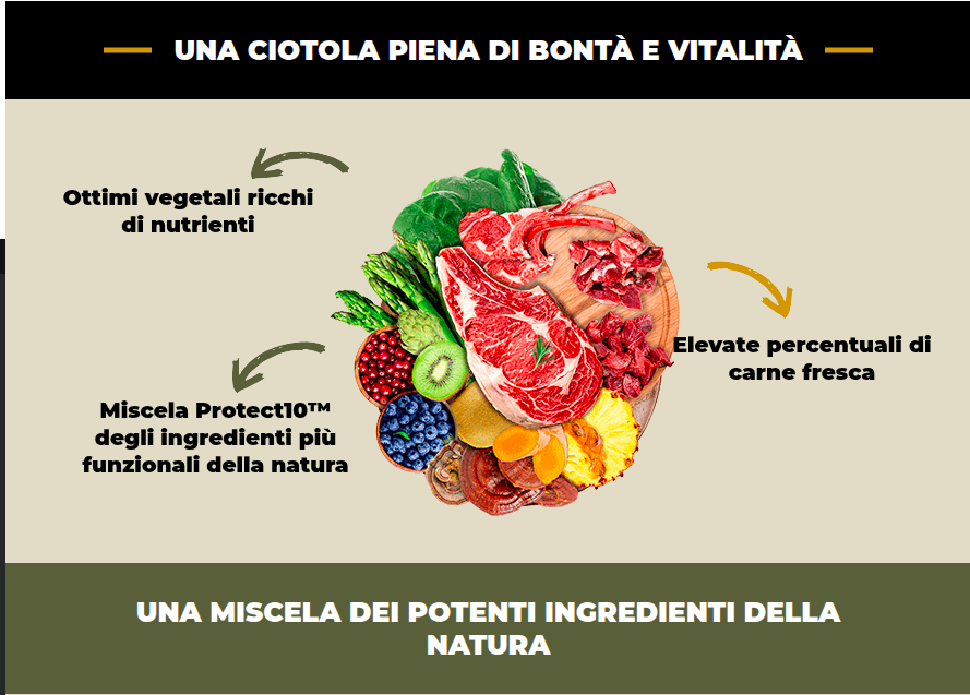 Manzo Allevato con Erba