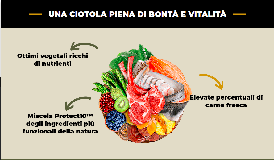 Agnello Allevato con Erba