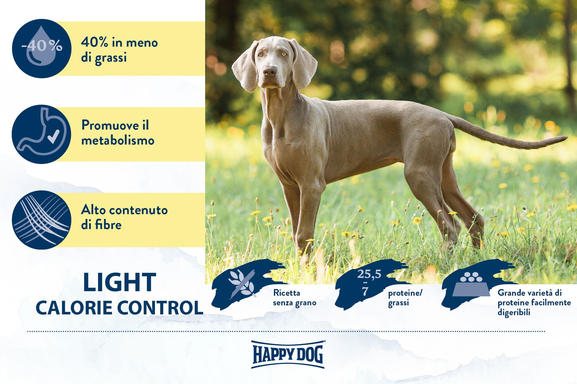 Light - Calorie Control