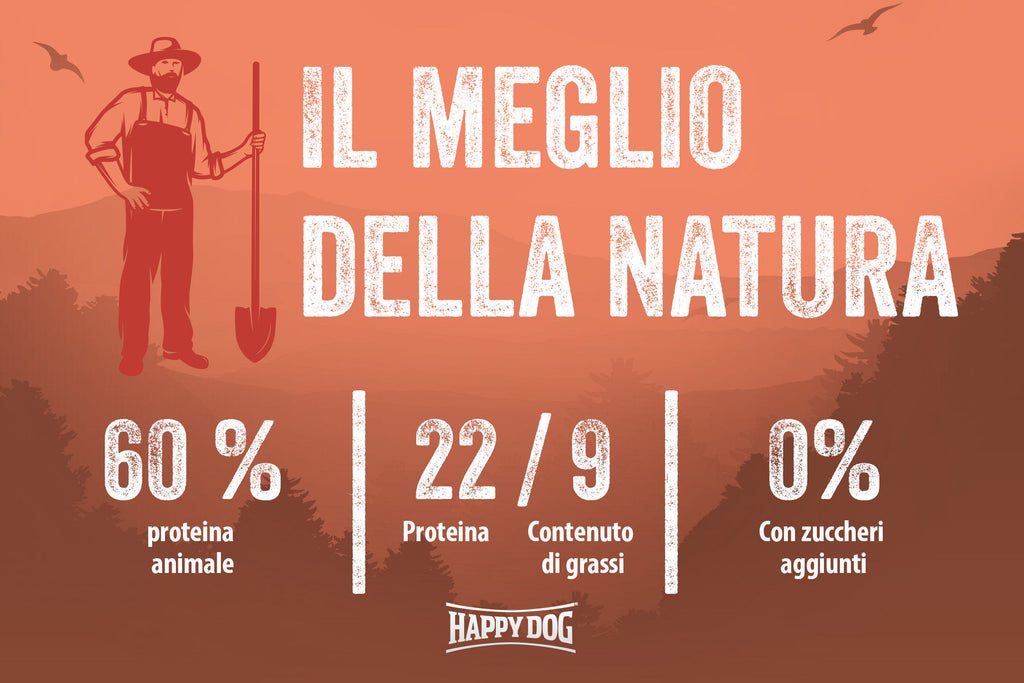 NaturCroq  Salmone e Riso