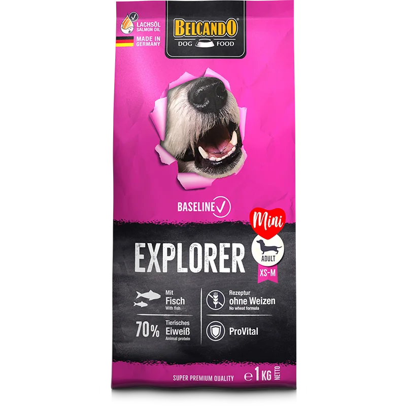 BELCANDO Baseline Explorer Con pesce