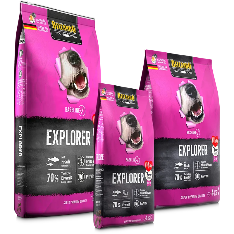 BELCANDO Baseline Explorer Con pesce