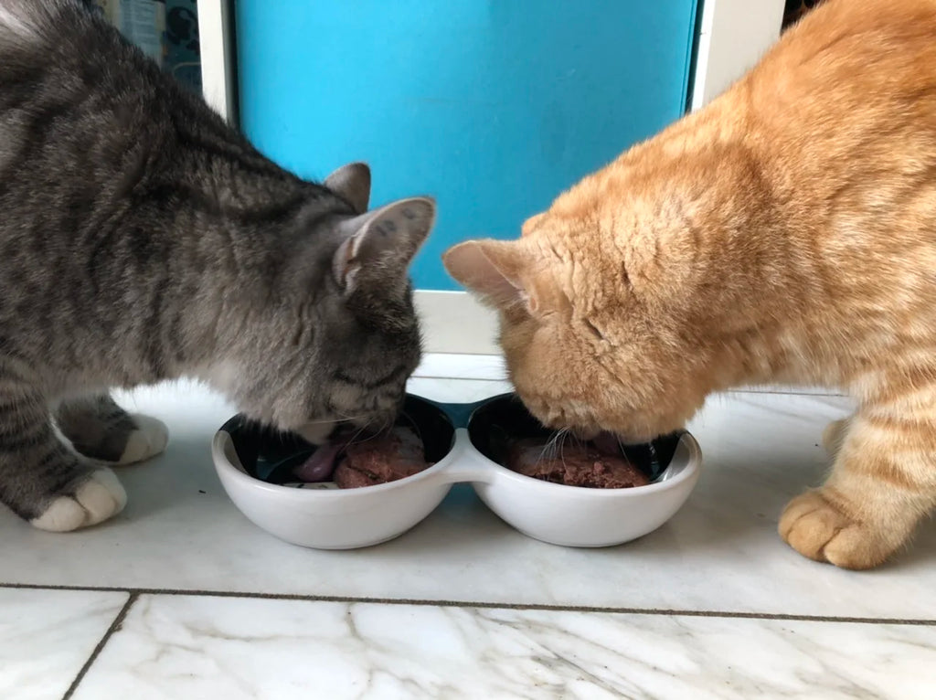 LEONARDO Pollame + uovo Ricco di pollame a basso contenuto di grassi Con uovo delizioso - 85 gr