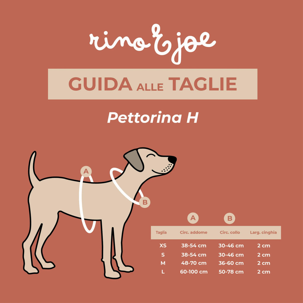 Pettorina ad H Regolabile per Cani | Comoda, Leggera, Sicura e Resistente | Disco - Rino & Joe