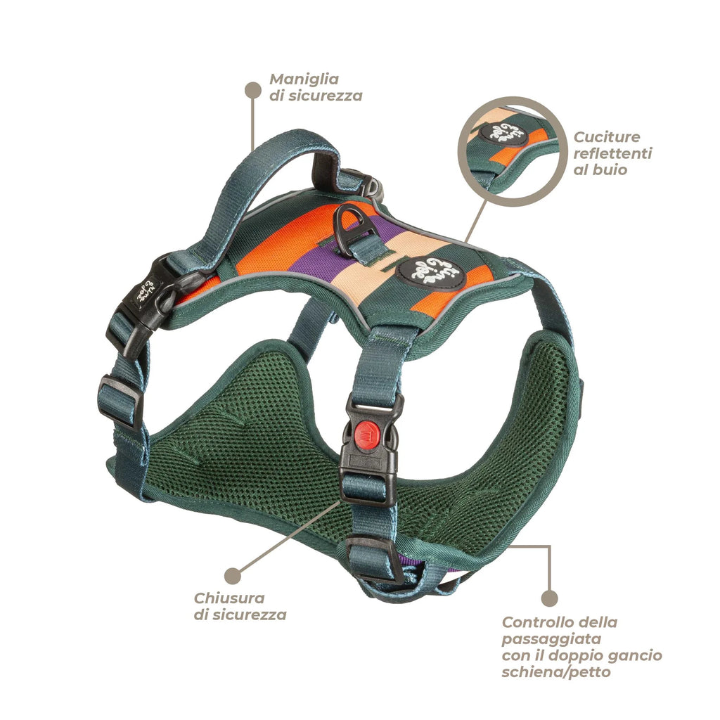 Pettorina Oxford Trail Regolabile per Cani | Comoda, Sicura e Resistente | Righe  - Rino & Joe