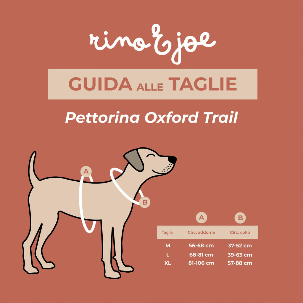 Pettorina Oxford Trail Regolabile per Cani | Comoda, Sicura e Resistente | Righe  - Rino & Joe