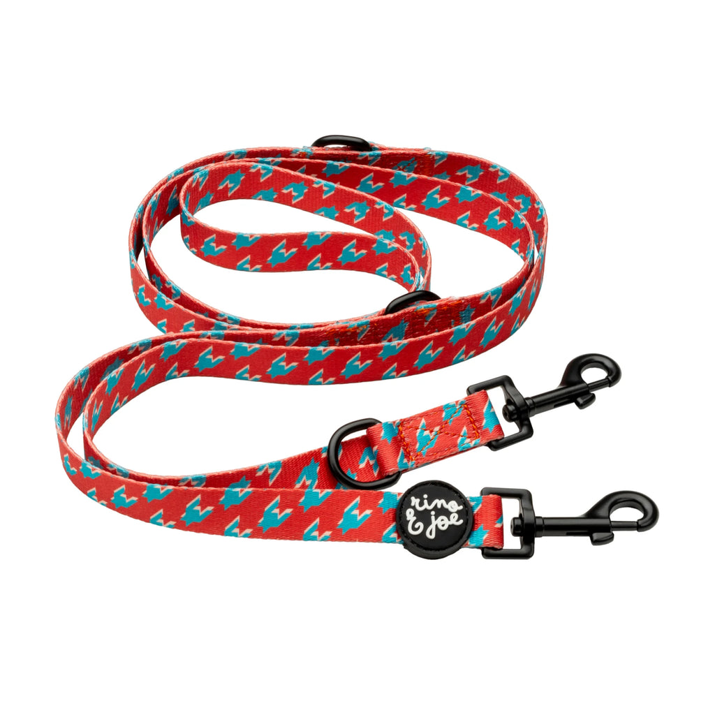 Guinzaglio 2 Metri Multiposizione da Addestramento | Pied Poule - Rino & Joe
