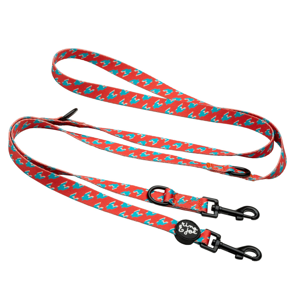 Guinzaglio 2 Metri Multiposizione da Addestramento | Pied Poule - Rino & Joe