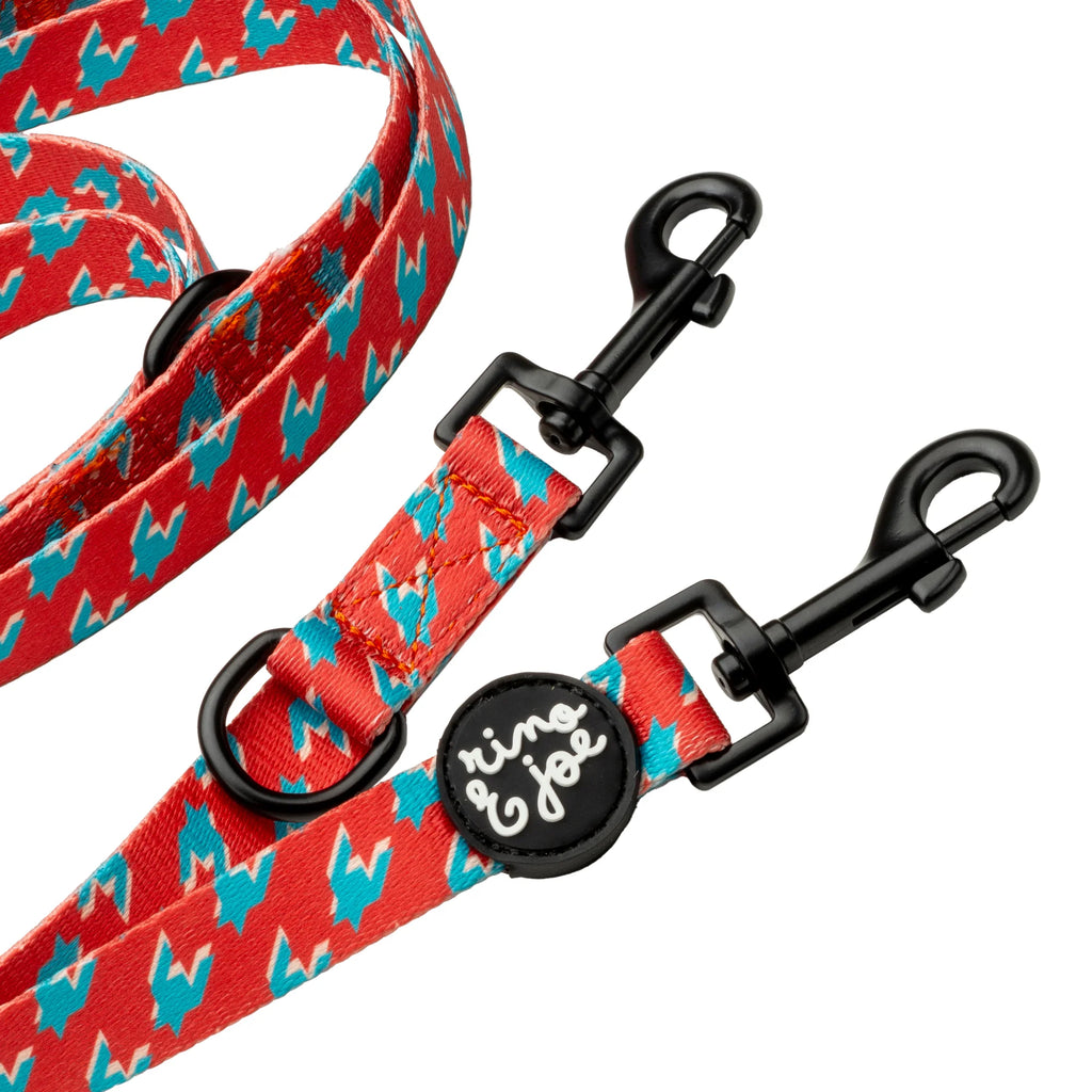 Guinzaglio 2 Metri Multiposizione da Addestramento | Pied Poule - Rino & Joe