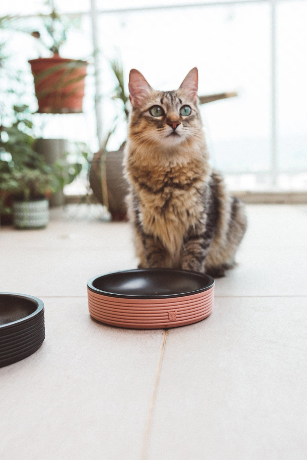 Zee.Dog - Duo Bowl Terracotta