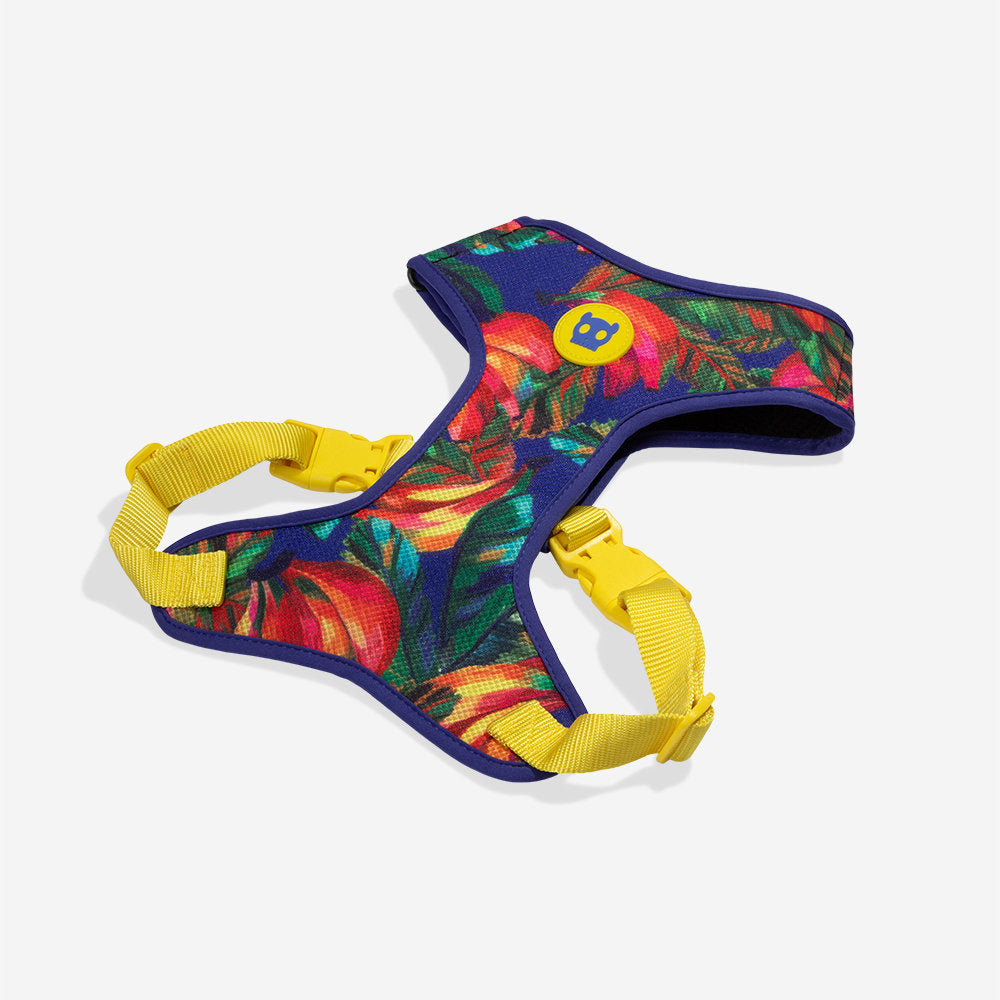 Zee.Dog - Pettorina a maglia regolabile Farm Rio Samba