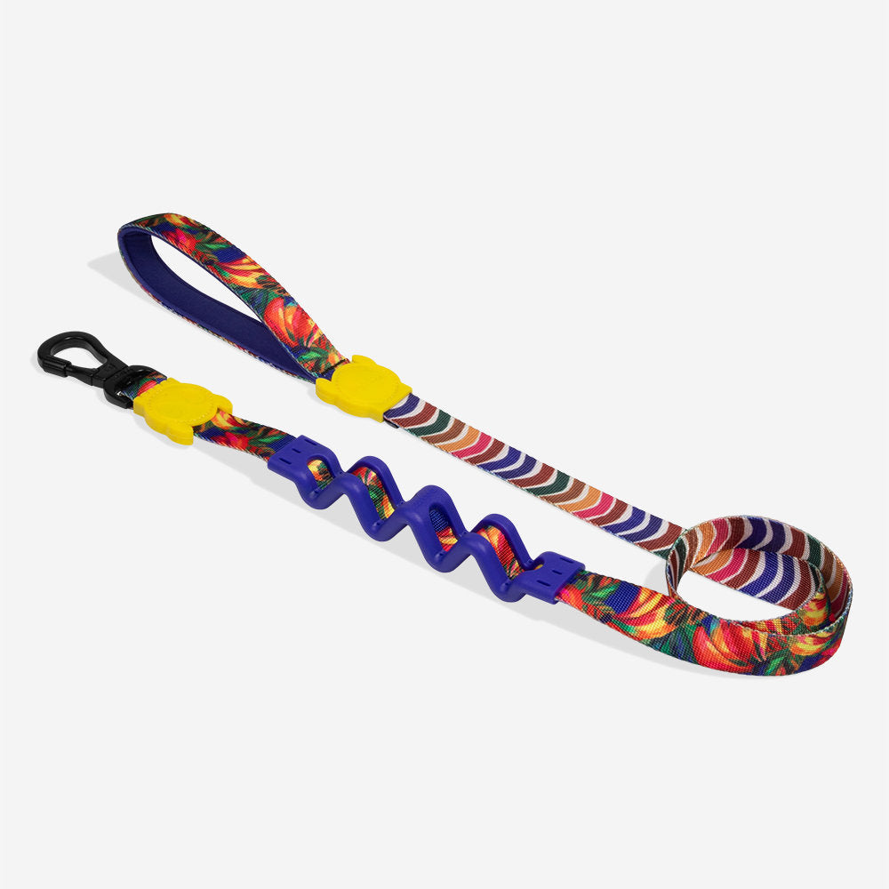 Zee.Dog - Guinzaglio Ammortizzato 2.0 Farm Rio Samba