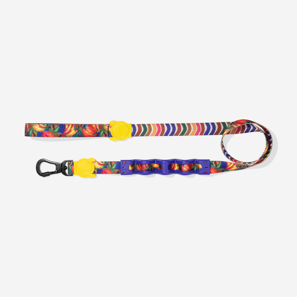 Zee.Dog - Guinzaglio Ammortizzato 2.0 Farm Rio Samba