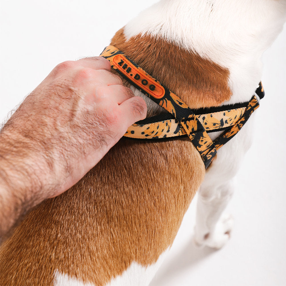 Zee.Dog - Pettorina Norvegese Softer-Walk Farm Rio Bossa Banana