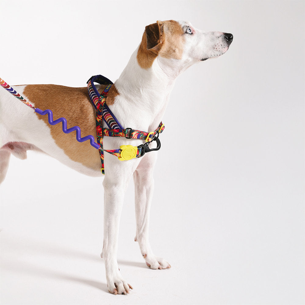 Zee.Dog - Pettorina Norvegese Softer-Walk Farm Rio Samba