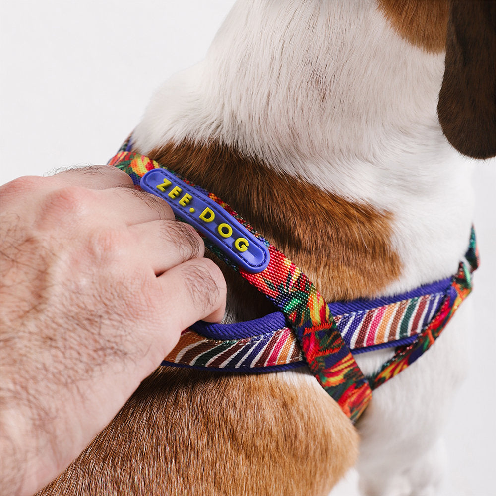 Zee.Dog - Pettorina Norvegese Softer-Walk Farm Rio Samba