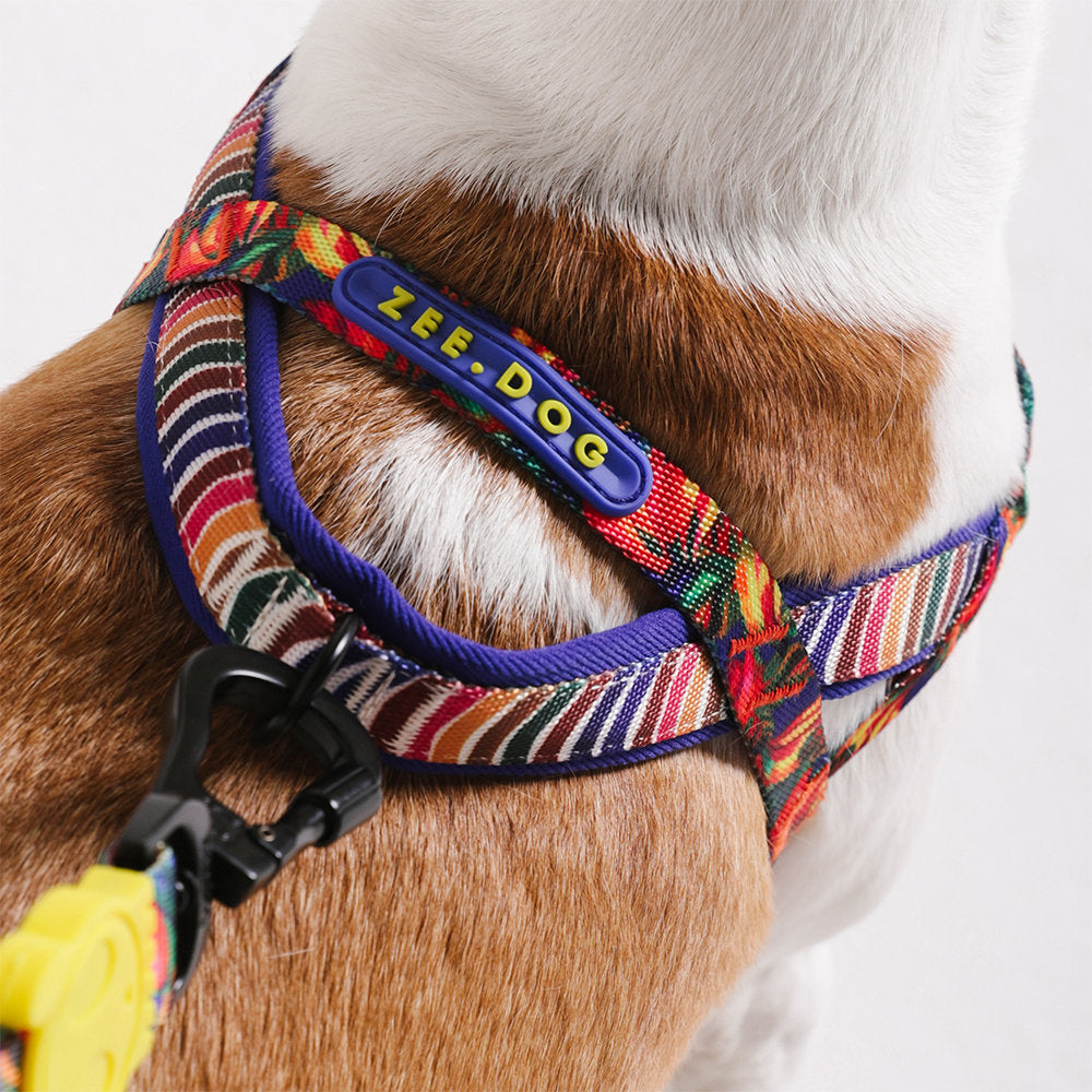 Zee.Dog - Pettorina Norvegese Softer-Walk Farm Rio Samba