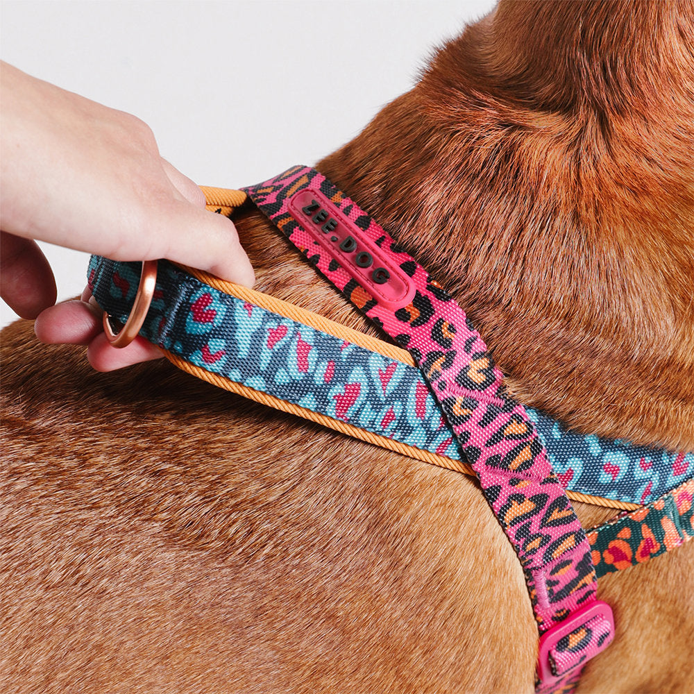 Zee.Dog - Pettorina Norvegese Softer-Walk Farm Rio Selva