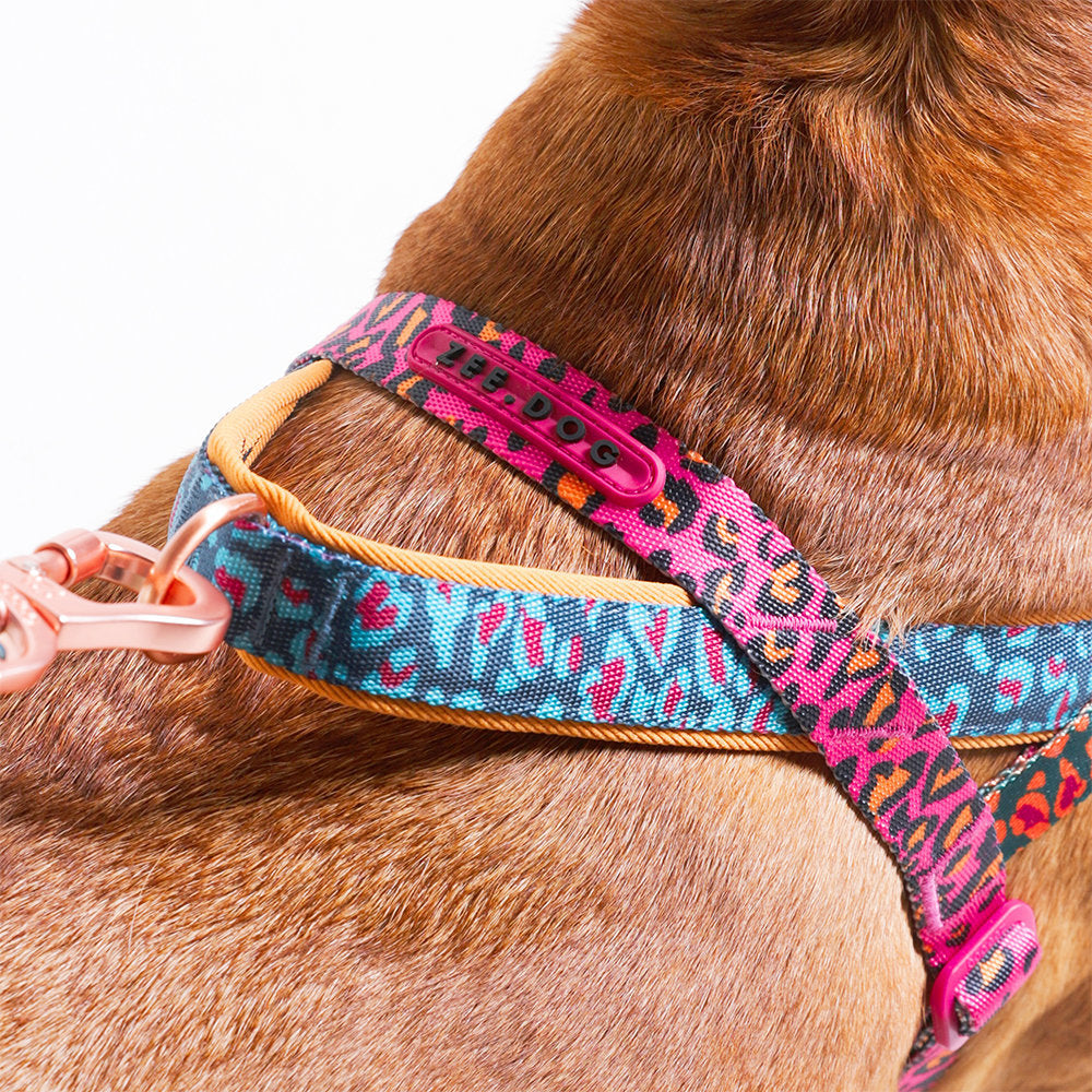 Zee.Dog - Pettorina Norvegese Softer-Walk Farm Rio Selva