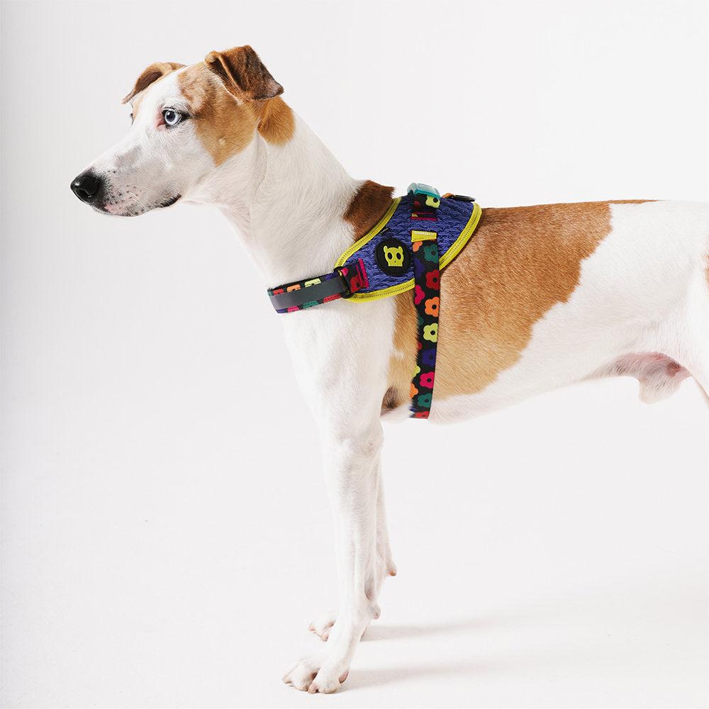 Zee.Dog - Pettorina con maniglia - Flyharness Farm Rio Samba