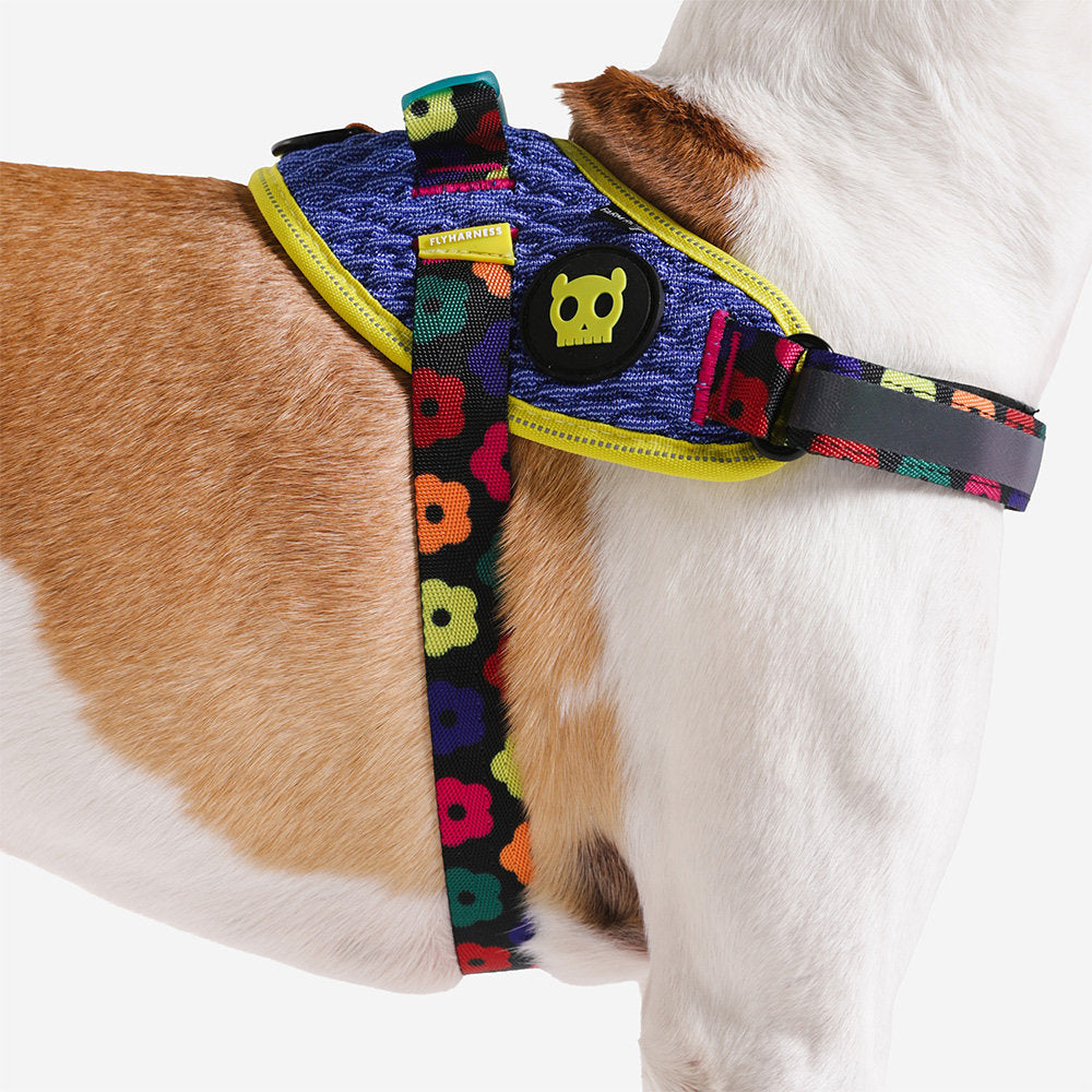Zee.Dog - Pettorina con maniglia - Flyharness Farm Rio Samba