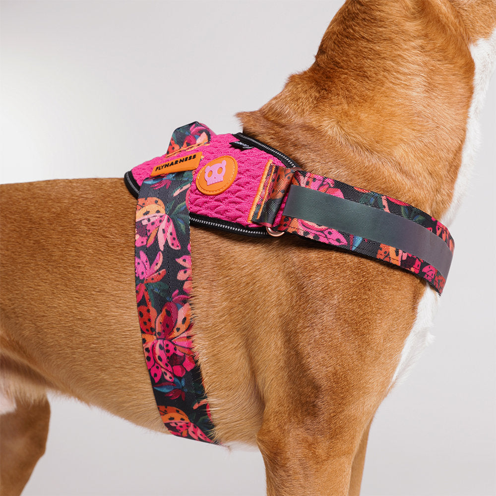Zee.Dog - Pettorina con maniglia - Flyharness Farm Rio Selva