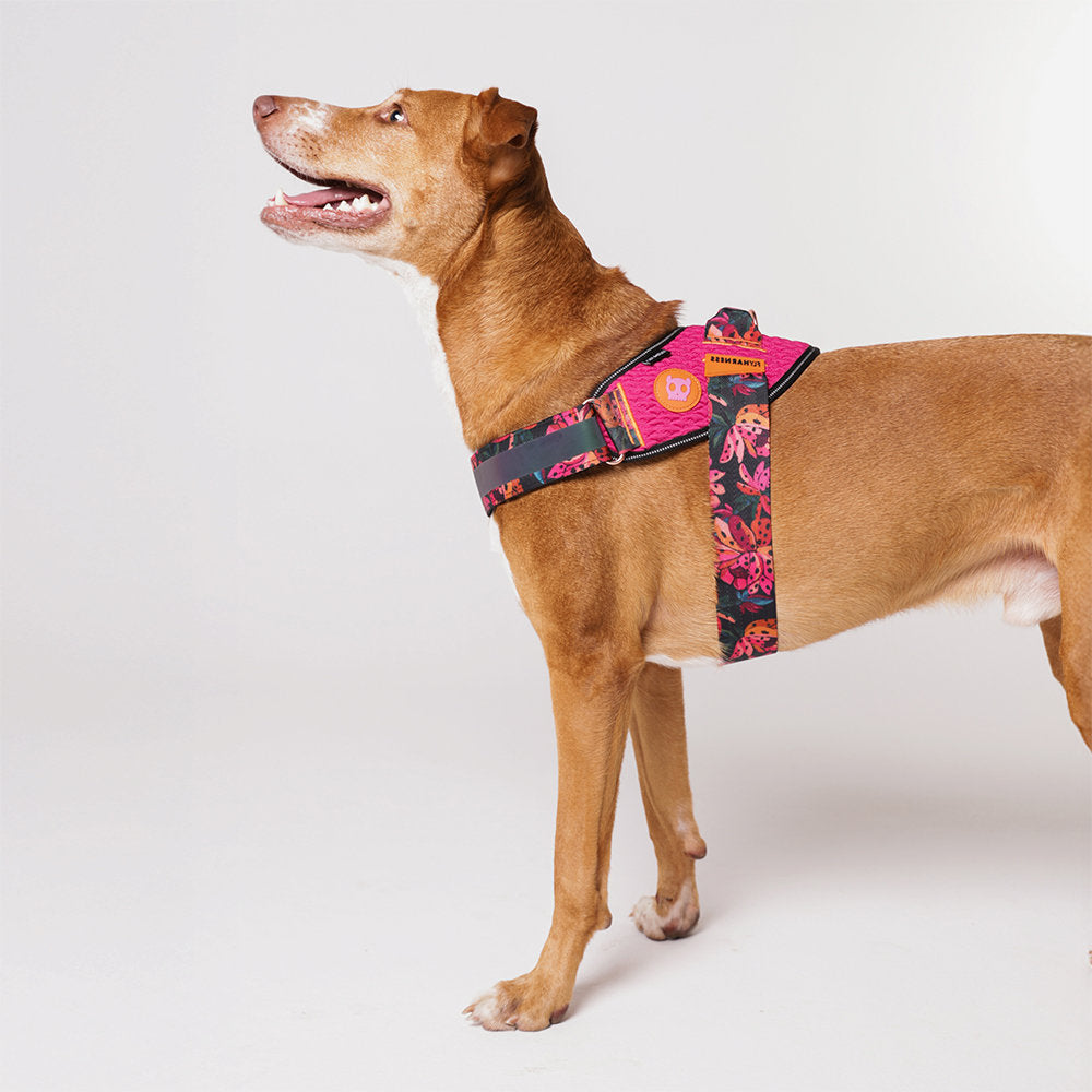 Zee.Dog - Pettorina con maniglia - Flyharness Farm Rio Selva