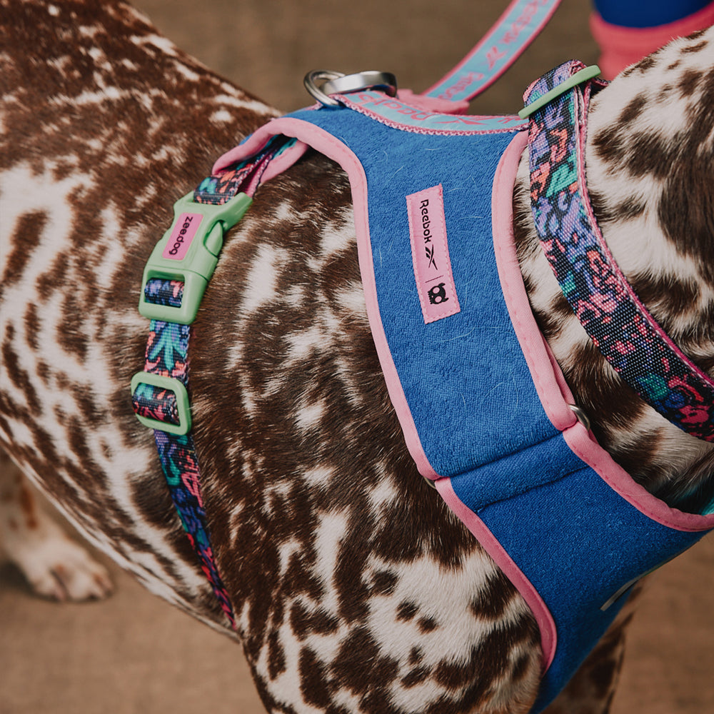 Zee.Dog - Pettorina a Maglia Regolabile Reebok Aerobic