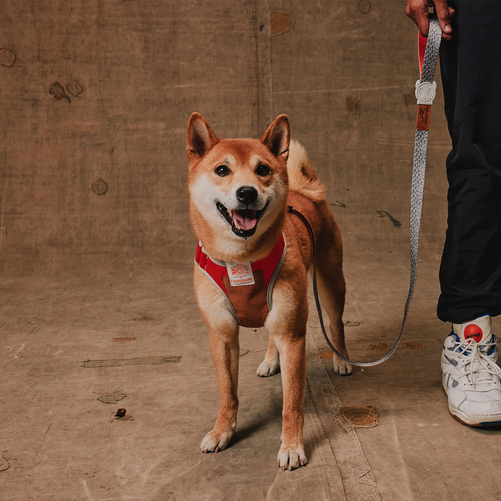 Zee.Dog - Pettorina a Maglia Regolabile Reebok Suede