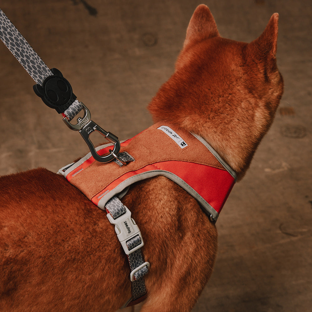 Zee.Dog - Pettorina a Maglia Regolabile Reebok Suede