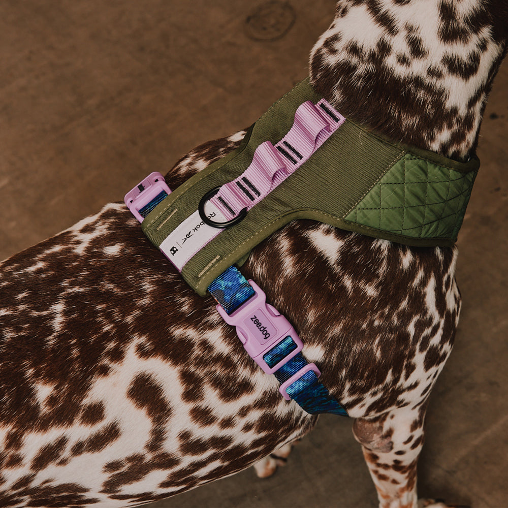 Zee.Dog - Pettorina a Maglia Regolabile Reebok Trekk