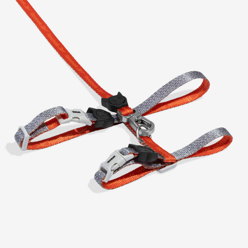 Zee.Dog - Set Pettorina e Guinzaglio Gatto Reebok Suede