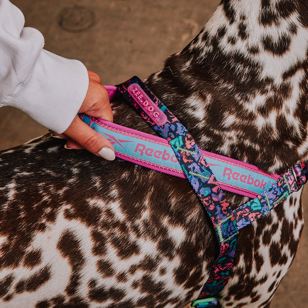 Zee.Dog - Pettorina Norvegese Softer-Walk Reebok Aerobic