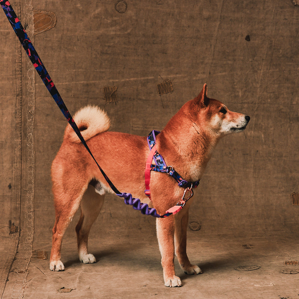 Zee.Dog - Pettorina Norvegese Softer-Walk Reebok Court