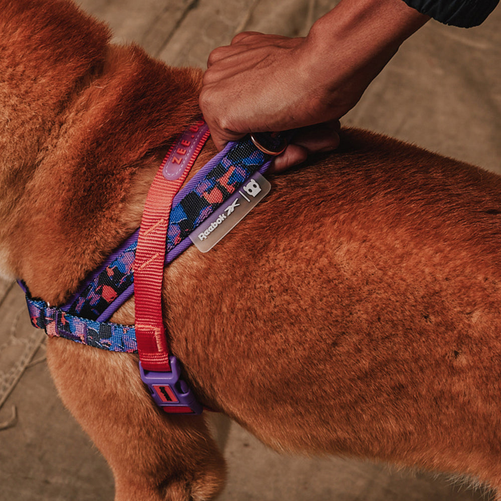 Zee.Dog - Pettorina Norvegese Softer-Walk Reebok Court