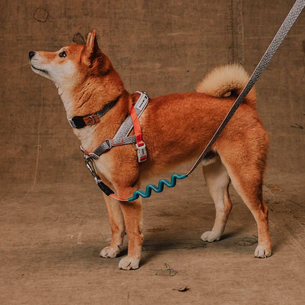 Zee.Dog - Pettorina Norvegese Softer-Walk Reebok Suede