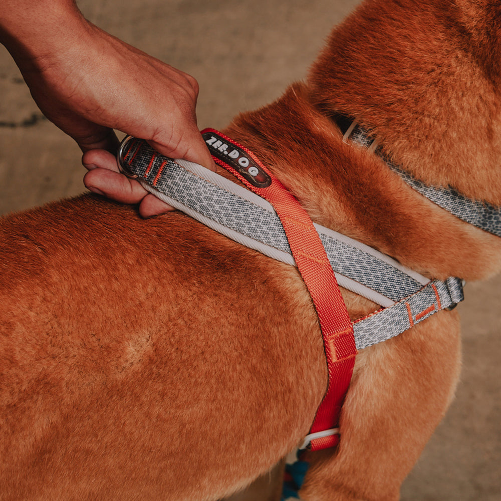 Zee.Dog - Pettorina Norvegese Softer-Walk Reebok Suede