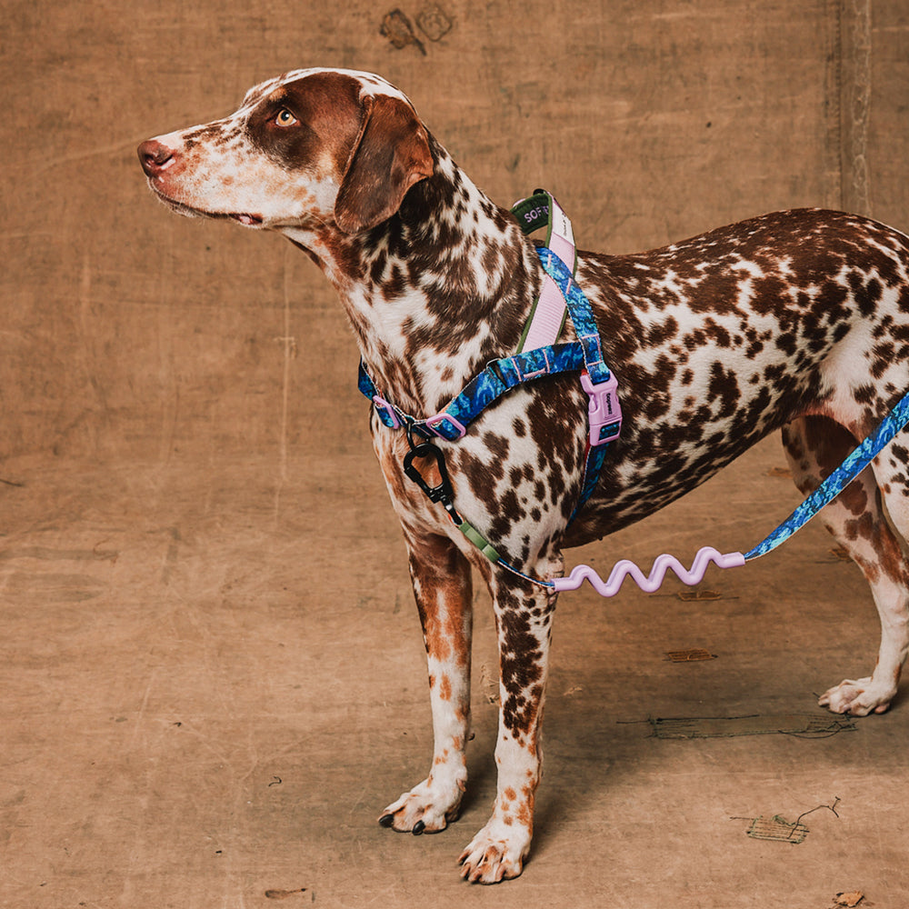 Zee.Dog - Pettorina Norvegese Softer-Walk Reebok Trekk