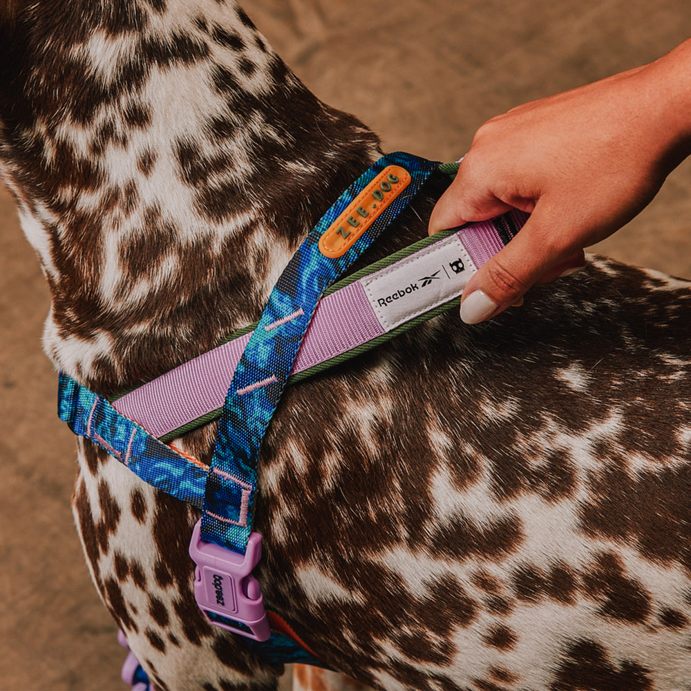 Zee.Dog - Pettorina Norvegese Softer-Walk Reebok Trekk