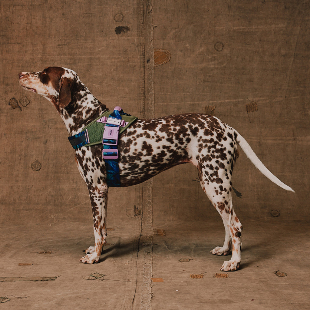 Zee.Dog - Pettorina con Maniglia - Flyharness Reebok Trekk