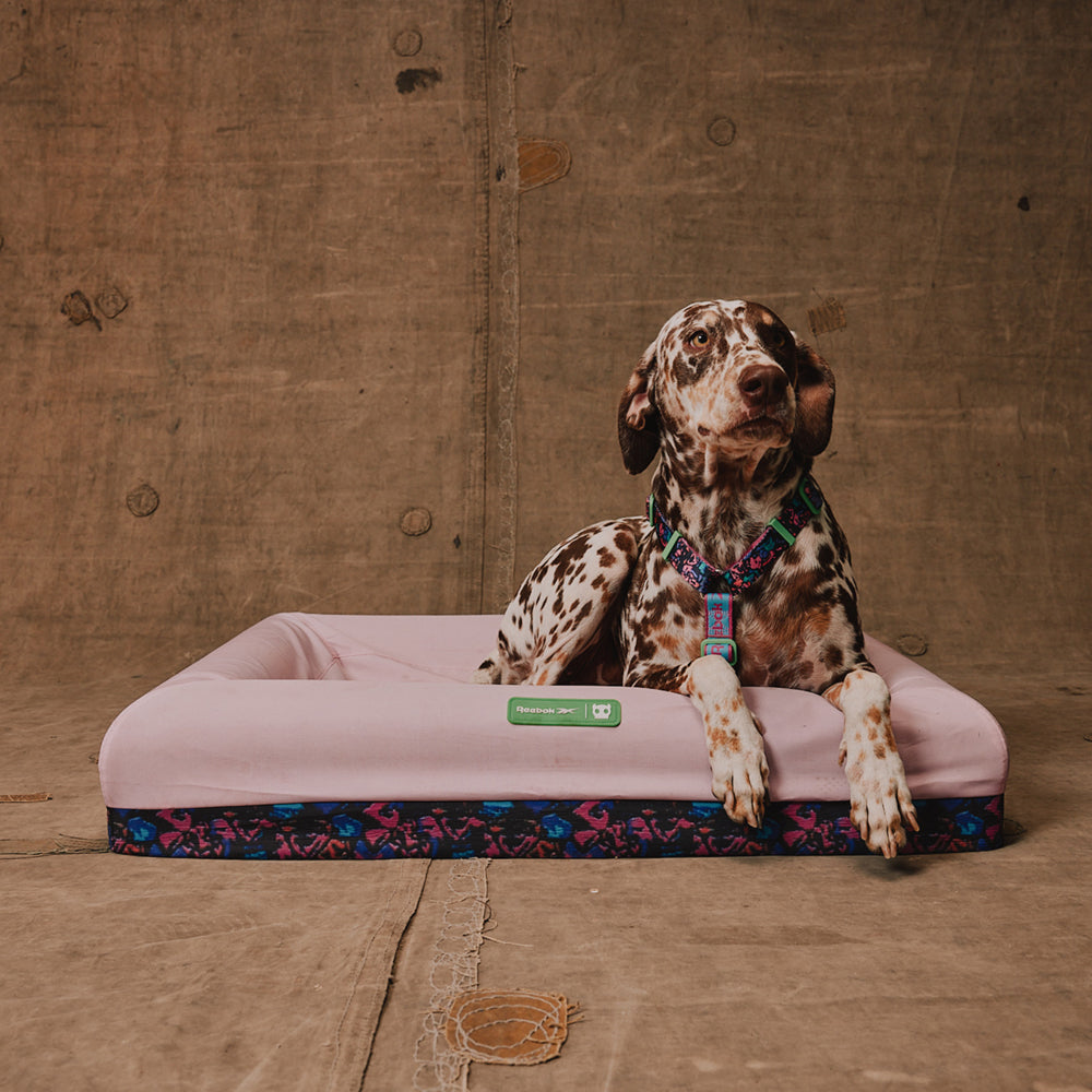 Zee.Dog - Cuccia Zee.Bed Reebok Aerobic