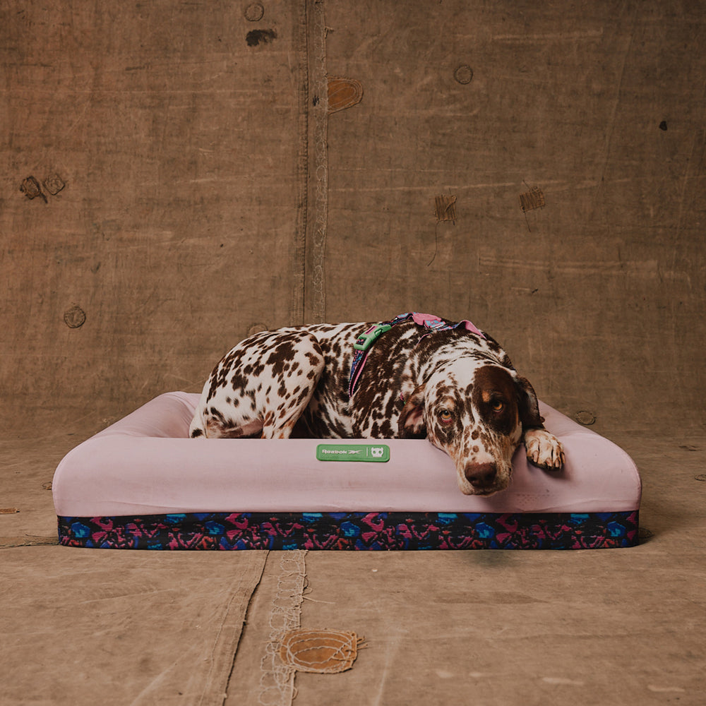 Zee.Dog - Cuccia Zee.Bed Reebok Aerobic