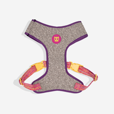 Zee.Dog - Pettorina a Maglia Regolabile Fuse Chop