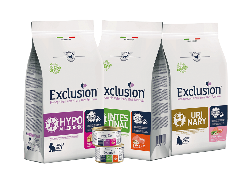 Cucciolo Manzo Taglia Media