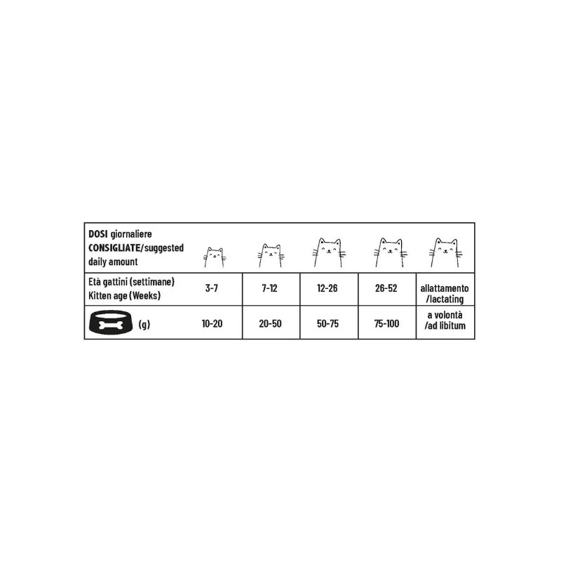 Pet 360 - Kitten 1 - 12 mesi - Ricco in Pesce