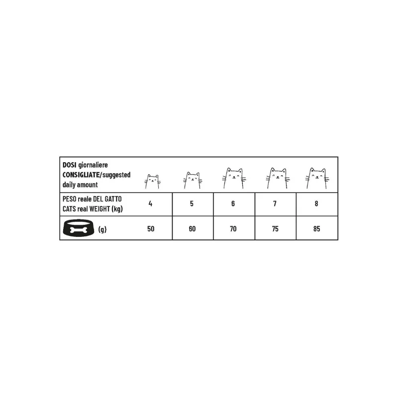 Pet 360 - Sterilized Adult cat - Ricco in Maiale
