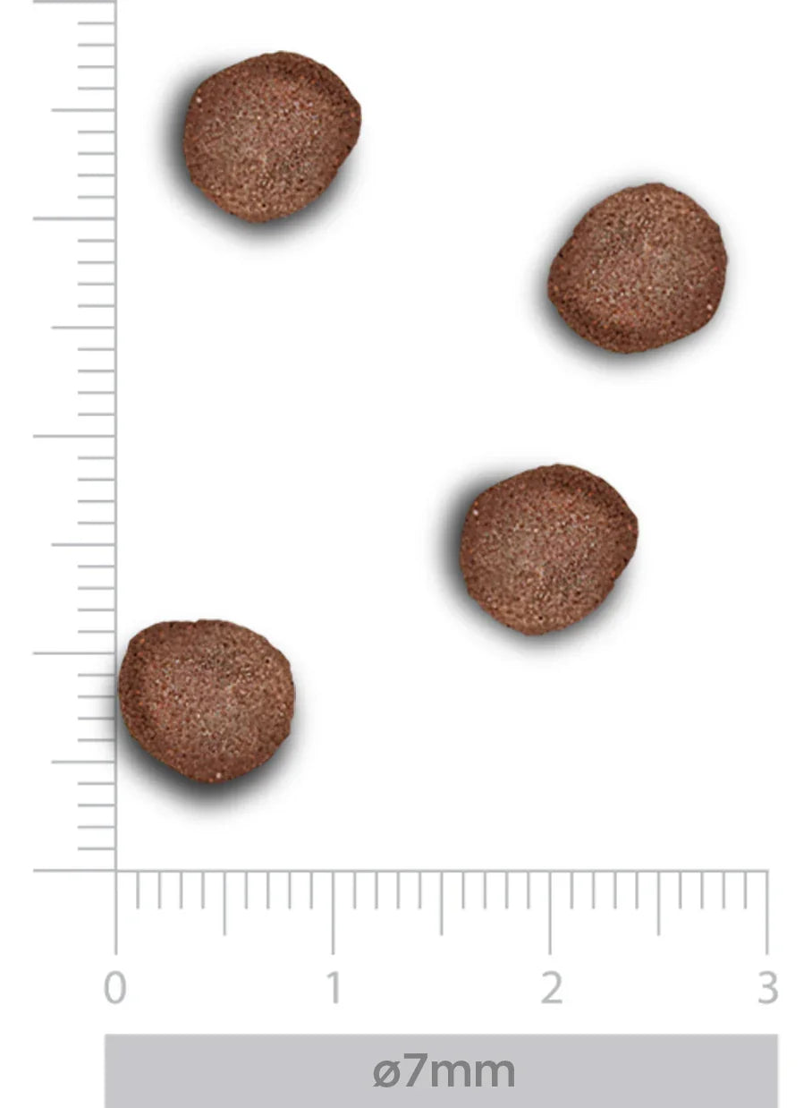 TrovetPlus Hypoallergenic - Insetti Freschi - Crocchette ipoallergeniche per Gatti Adulti con intolleranze