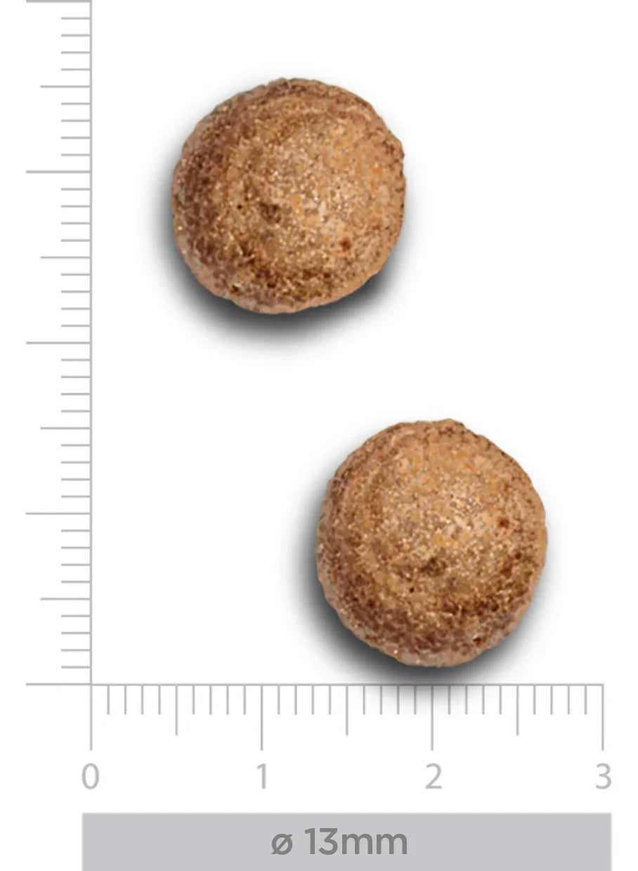 TrovetPlus Dermal Hydrolised fish - Crocchette dietetiche per cani adulti, per intolleranze e perdita di pelo