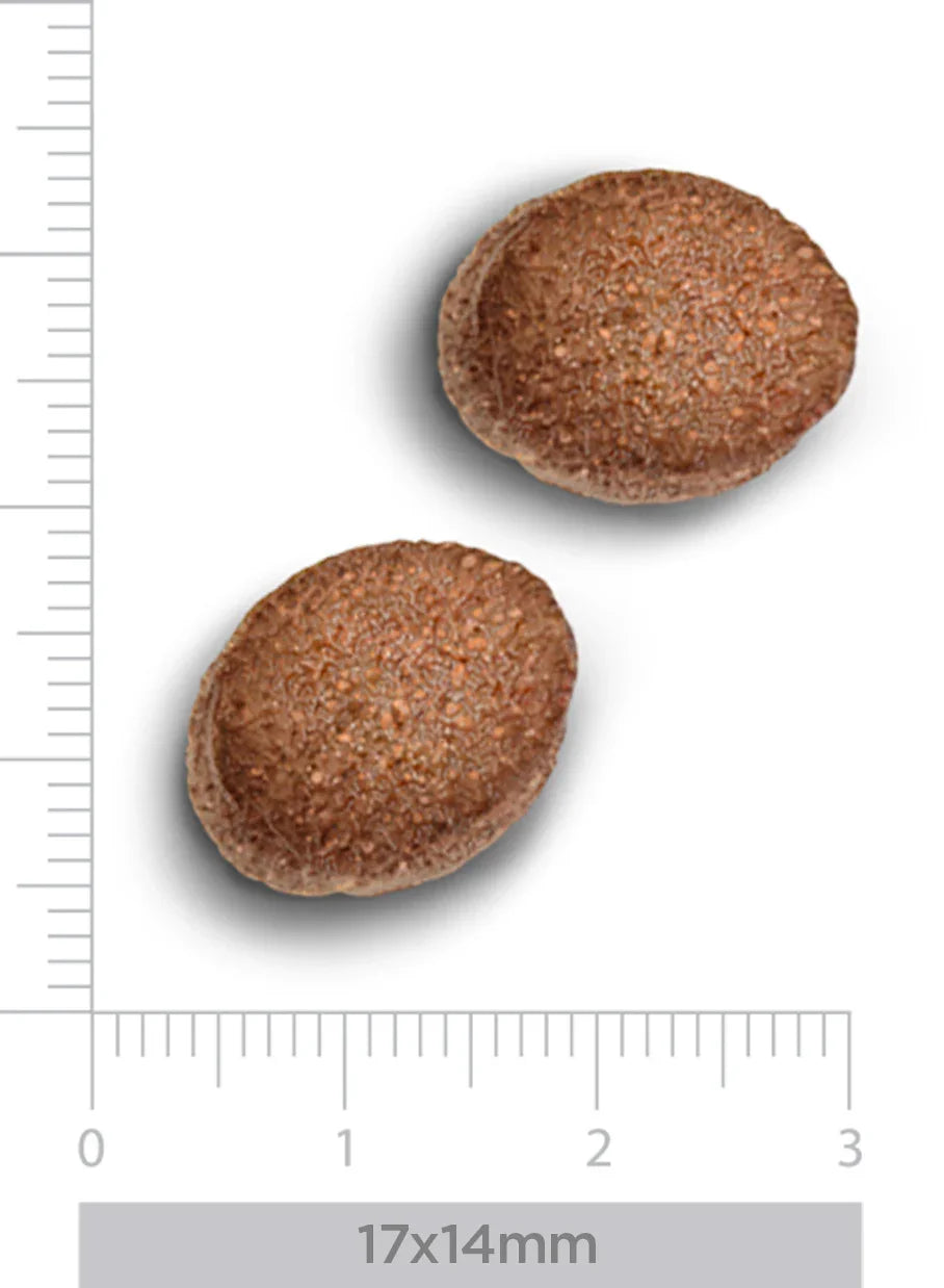 TrovetPlus Hypoallergenic - Cinghiale - Crocchette ipoallergeniche per Cani Adulti con intolleranze - Grain Free